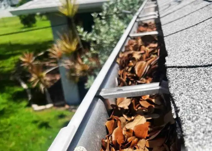 North Fort Myers gutter cleaning home page